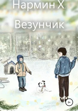 Нармин Хаджылы Везунчик обложка книги