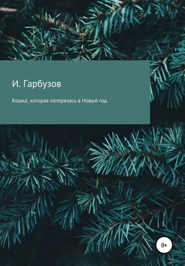 Илья Гарбузов Кошка, которая потерялась в Новый год обложка книги