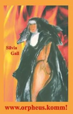 Silvia Gall www.orpheus.komm! обложка книги
