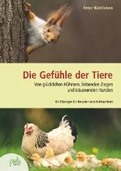 Peter Wohlleben - Die Gefühle der Tiere