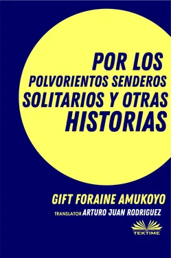 Foraine Amukoyo Gift Por Los Polvorientos Senderos Solitarios Y Otras Historias обложка книги