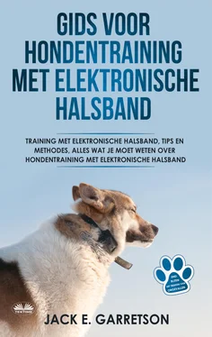 Jack E. Garretson Gids Voor Hondentraining Met Elektronische Halsband обложка книги