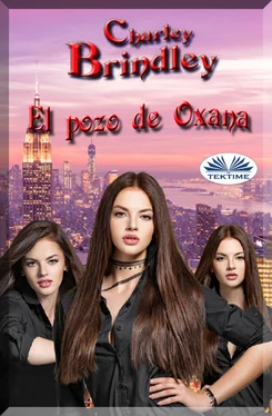 Charley Brindley El Pozo De Oxana обложка книги
