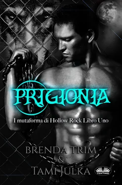 Brenda Trim Prigionia обложка книги