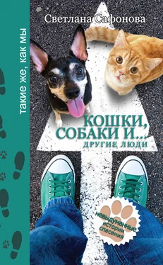 Светлана Сафонова Кошки, собаки и… другие люди. Невыдуманные истории спасения обложка книги