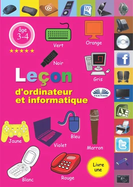 Professor Wilfred Leçon D'Ordinateur Et Informatique обложка книги