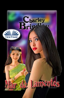 Charley Brindley Mar De Lamentos обложка книги