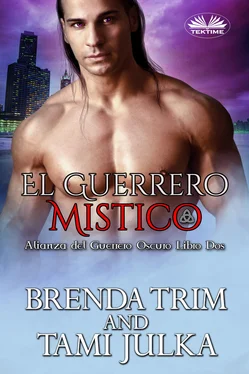 Brenda Trim El Guerrero Mistico обложка книги