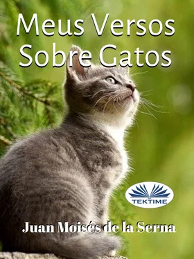 Juan Moisés De La Serna Meus Versos Sobre Gatos обложка книги
