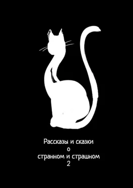 Анастасия Компанцева Рассказы и сказки о странном и страшном – 2 обложка книги