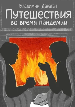 Владимир Дараган Путешествия во время пандемии обложка книги