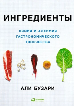 Али Бузари Ингредиенты: Химия и алхимия гастрономического творчества обложка книги