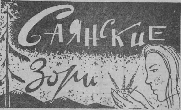Алексей Болотников Из книги Русские как существительные Попутчица Попутно - фото 3