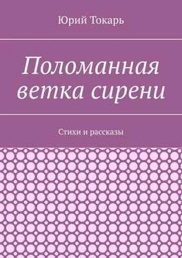 Юрий Токарь Поломанная ветка сирени. Стихи и рассказы обложка книги