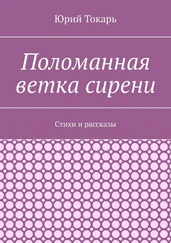 Юрий Токарь - Поломанная ветка сирени. Стихи и рассказы