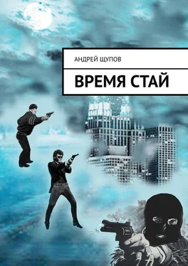 Андрей Щупов ВРЕМЯ СТАЙ обложка книги