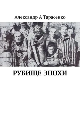 Александр Тарасенко Рубище эпохи обложка книги