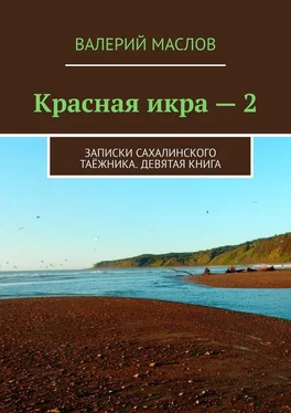 Валерий Маслов Красная икра – 2. Записки сахалинского таёжника. Девятая книга обложка книги