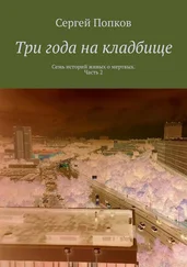 Сергей Попков - Три года на кладбище. Семь историй живых о мертвых. Часть 2
