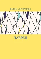 Вадим Сагидуллин - Чабрец