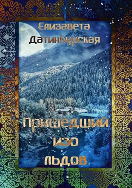 Елизавета Датинбурская Пришедший изо льдов обложка книги