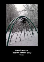 Алина Пожарская - Песенки в белой роще. Стихи
