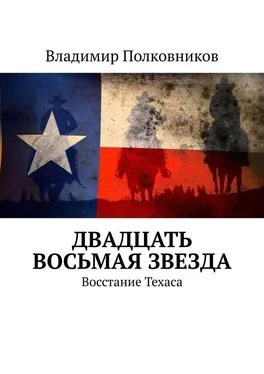 Владимир Полковников Двадцать восьмая звезда. Восстание Техаса обложка книги