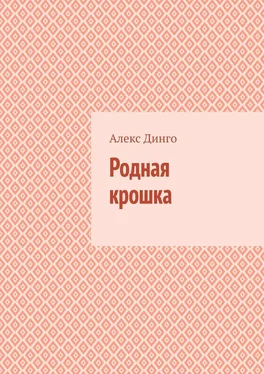 Алекс Динго Родная крошка обложка книги