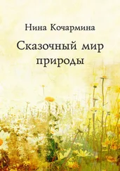 Нина Кочармина - Сказочный мир природы