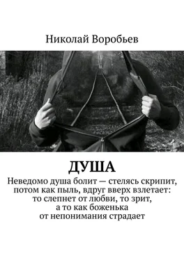 Николай Воробьев Душа обложка книги