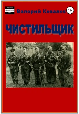 Валерий Ковалев Чистильщик. Повесть обложка книги