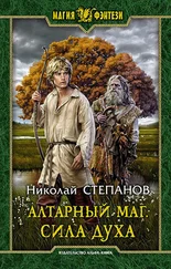 Николай Степанов - Алтарный маг. Сила духа