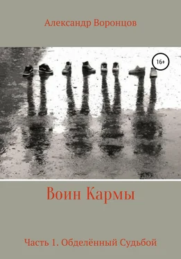 Александр Воронцов Воин Кармы. Часть 1. Обделённый Судьбой обложка книги