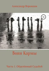 Александр Воронцов - Воин Кармы. Часть 1. Обделённый Судьбой