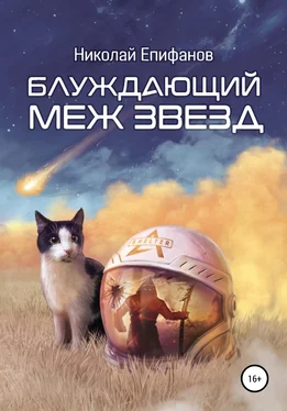 Николай Епифанов Блуждающий меж звезд обложка книги