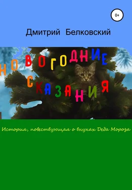 Дмитрий Белковский Новогодние сказания