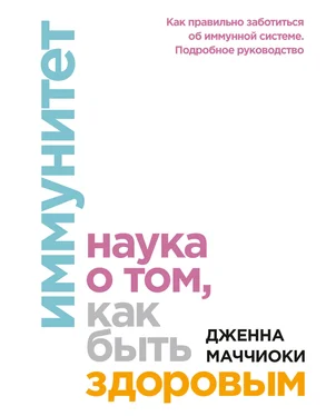 Дженна Маччиоки Иммунитет. Наука о том, как быть здоровым обложка книги