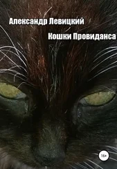Александр Левицкий - Кошки Провиданса