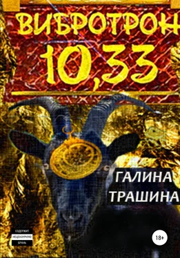 Галина Трашина Вибротрон 10.33 обложка книги