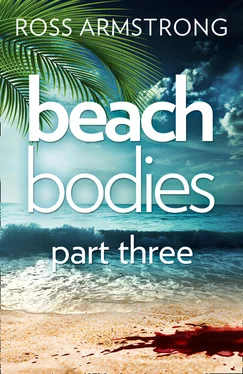 Ross Armstrong Beach Bodies: Part Three обложка книги