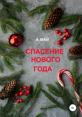 Анна Май Спасение Нового года обложка книги
