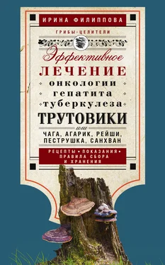 Ирина Филиппова Трутовики. Эффективное лечение онкологии, гепатита, туберкулеза… обложка книги