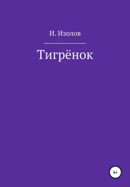 Иван Изолов Тигрёнок обложка книги