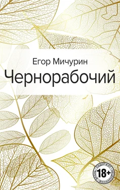 Егор Мичурин Чернорабочий обложка книги