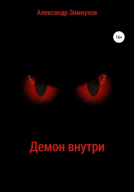 Александр Зимнухов Демон внутри обложка книги