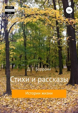 Дмитрий Боррони Стихи и рассказы: истории жизни обложка книги