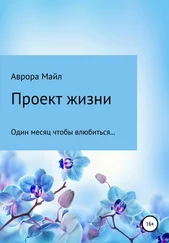 Аврора Майл - Проект жизни
