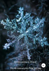 Илья Огородников - Ночь накануне Рождества