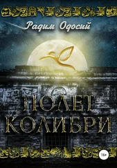 Радим Одосий - Полет колибри