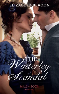 Elizabeth Beacon The Winterley Scandal обложка книги